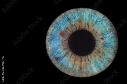 blue eye on black background