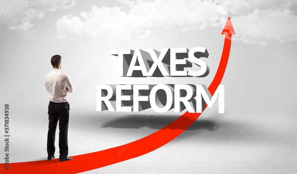 Rear view of a businessman standing in front of TAXES REFORM inscription, successful business concept Rear view of a businessman standing in front of TAXES REFORM inscription, successful business concept