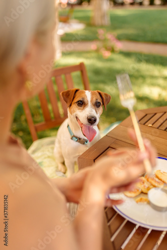 Dog watch a woman eat in the open air.