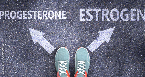 Progesterone and estrogen as different choices in life - pictured as words Progesterone, estrogen on a road to symbolize making decision and picking either one as an option, 3d illustration