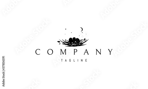 Vector logo on which an abstract image of a nest with eggs on the background of the moon and stars.
