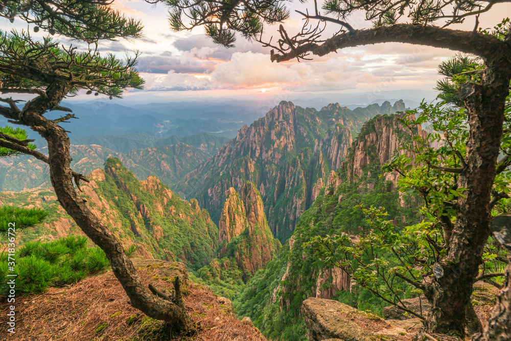 Fototapeta premium Landscape of Mount Huangshan (Yellow Mountains). UNESCO World Heritage Site. Located in Huangshan, Anhui, China.