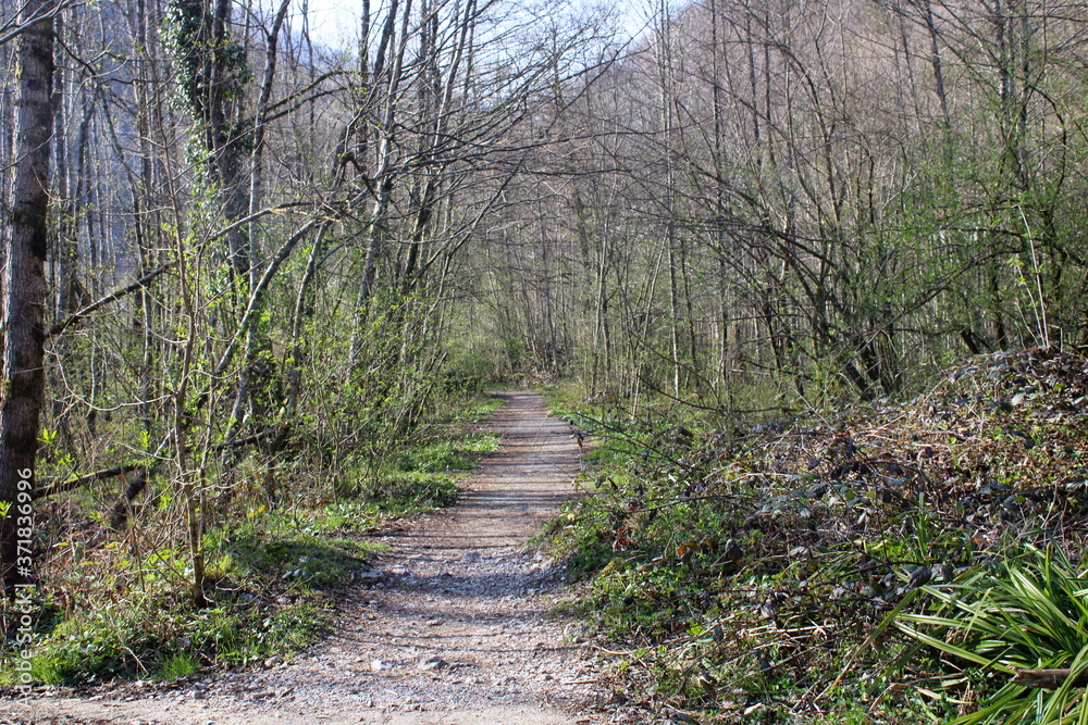 Spring roads of the Caucasus.