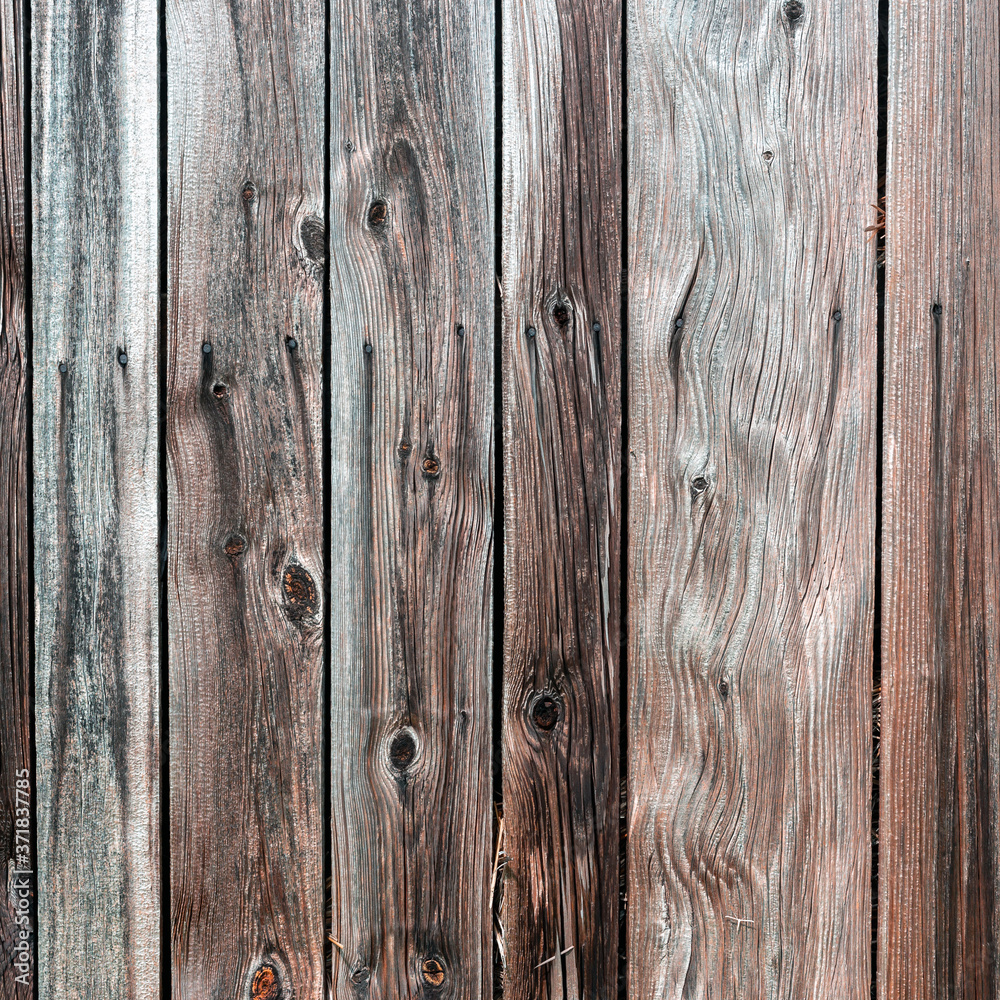 Naklejka premium The old wood texture with natural patterns