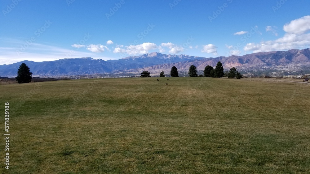 Pikes Peak over a park