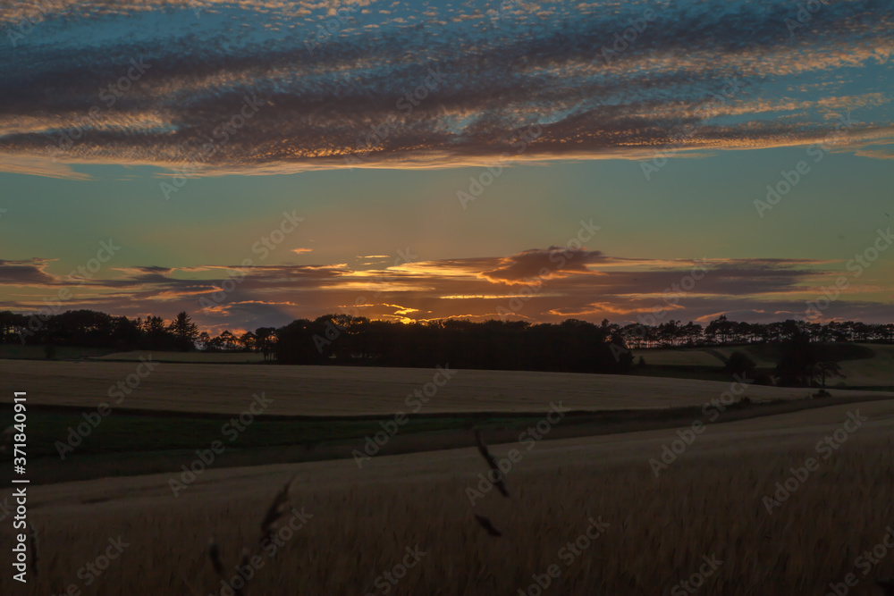 Sunset over Fields of wheat