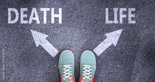 Cuadro en lienzo Death and life as different choices in life - pictured as words Death, life on a