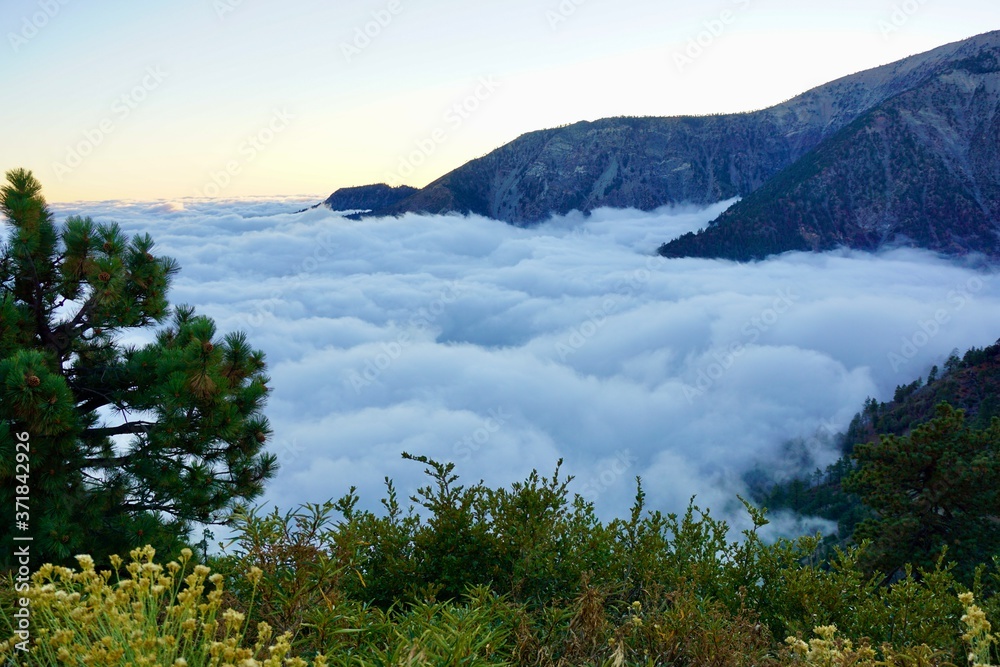 Naklejka premium mountain landscape with fog and clouds