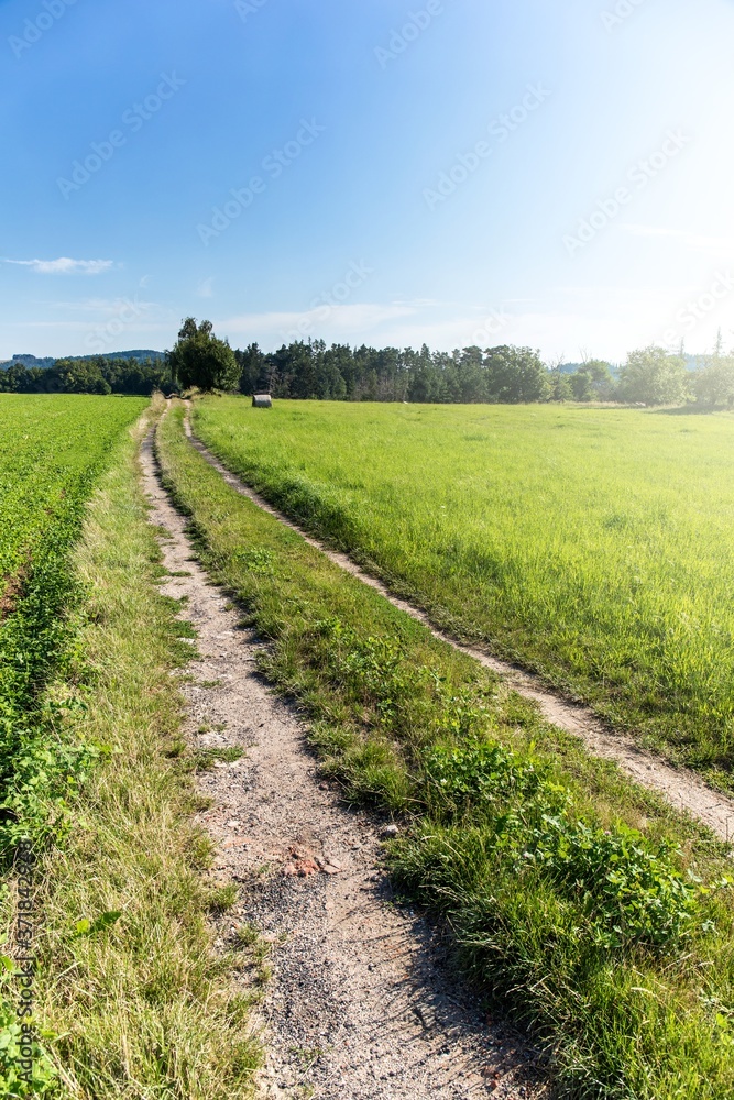 Czech Republic summer landscape with country road. Rural farm field road landscape.