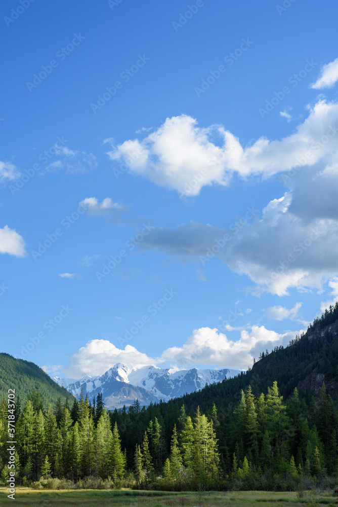 summer mountain landscape with snowy peak. Vertical