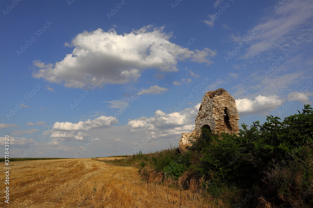 Ruiny w Jeziorowicach (gmina Żarnowiec)