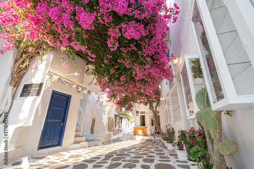 Small square in Mykonos town (Chora), greece. The photo shows a beautiful place with vegetation and red flowers in a sunny day. 
