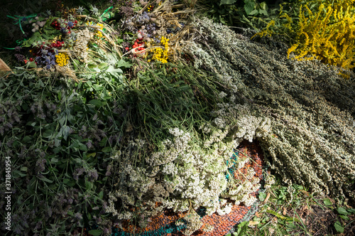 Medicinal plants and raw materials laid out on a colored rug and illuminated by the bright sun