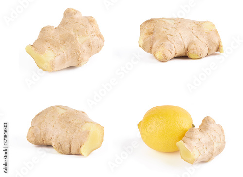 set of ginger root also known as zingiber officinale isolated on a white background. four objects. ingredient for folk medicine