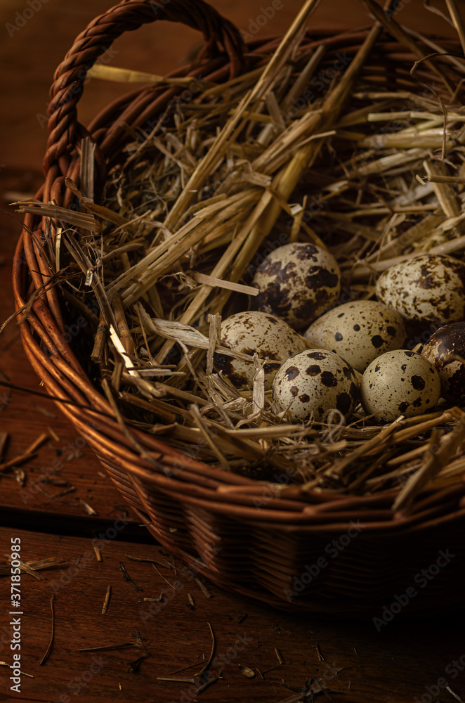 Obraz premium Quail eggs in a nest made of hay and wicker baskets.