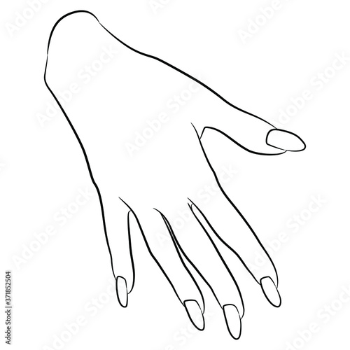 Beautiful female hand with long nails in elegant gesture. Black and white linear silhouette.