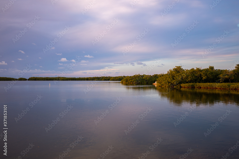Sunset in Islamorada - Mangroves