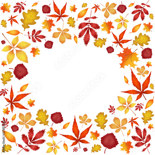 Autumn colorful foliage with frame