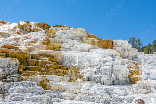 Mammoth Hot Springs Yellowstone National Park