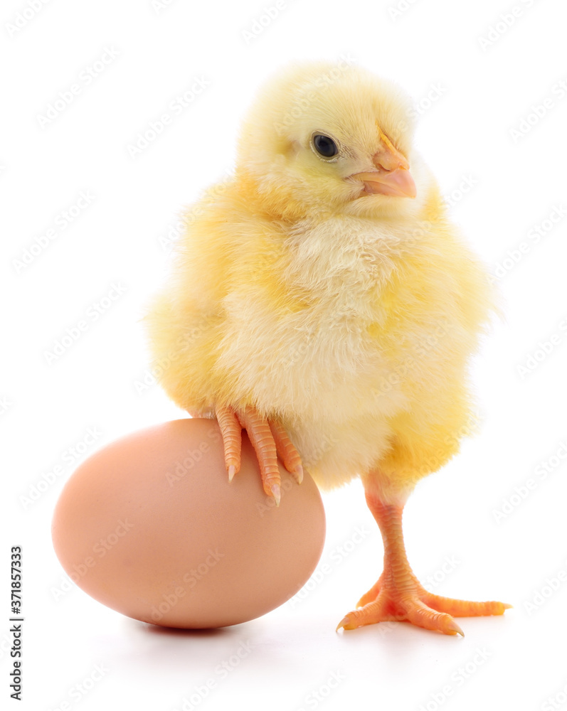 Chicken and egg. Chicken and egg.