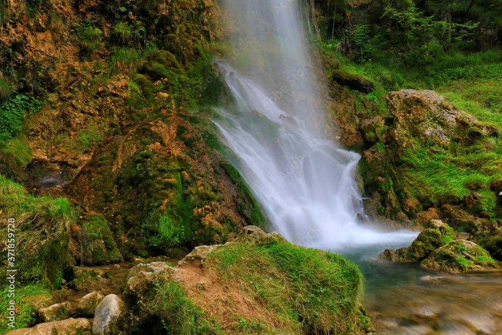 Fototapeta premium Mountain stream among the mossy stones