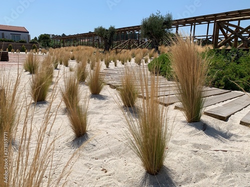 Beautiful wooden pathway in the sand and dry vegetation of Quinta da Comporta, Portugal.