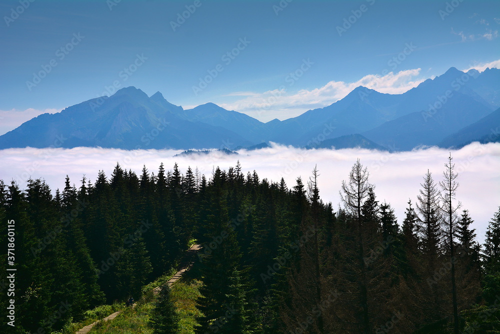 mgła w Tatrach, widok ze szlaku na  Gęsią Szyję