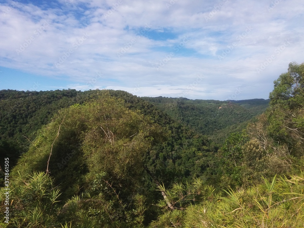 landscape in the mountains