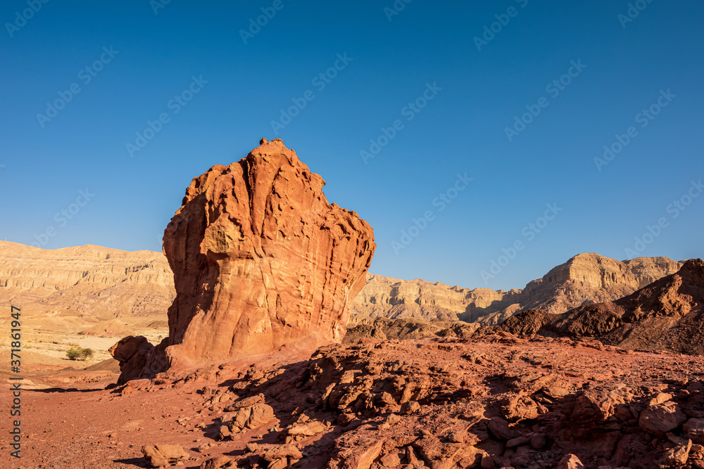 Sculpture of a mushroom and a half made by nature in the Arava Valley near Eilat. Timna Park. Israel. 