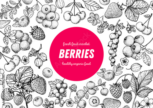 Berries drawing collection. Hand drawn berry sketch. Vector illustration. Food design template with berry. Strawberries, raspberries, blueberries, cranberries, currants, cherries, lingonberries.