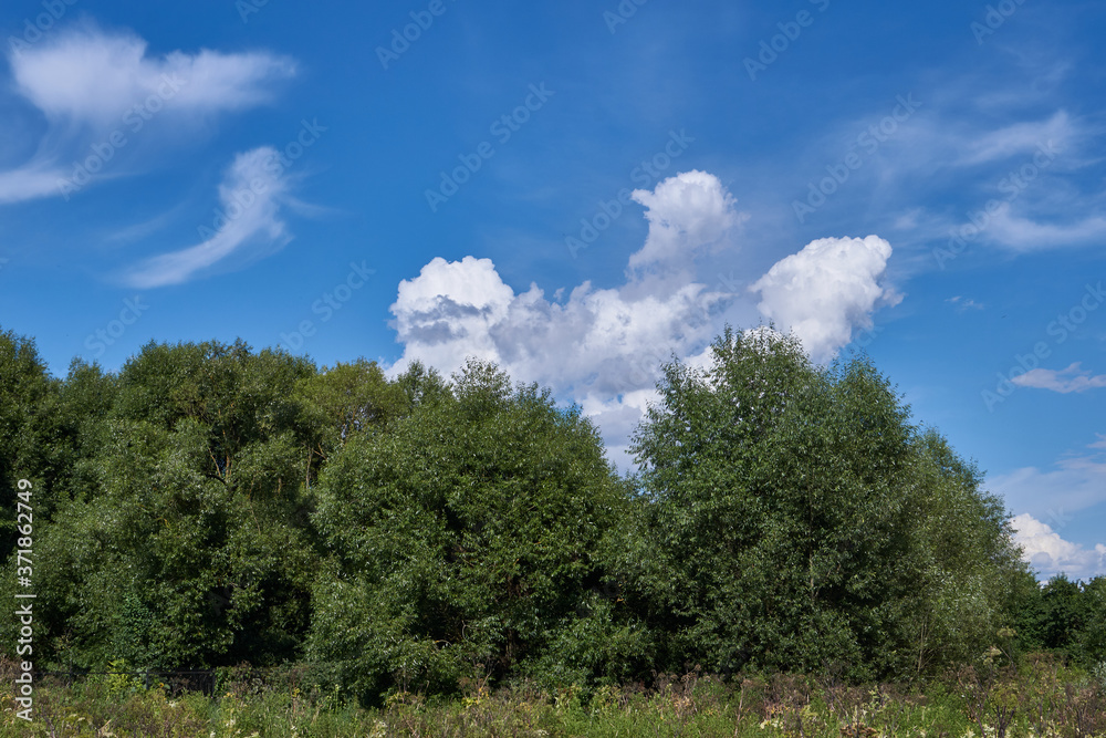 In the photo there is a landscape in the Snezhet river floodplain. Very beautiful clouds in the sky.