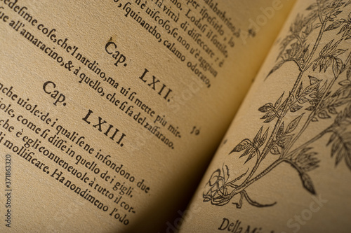 Canvas-taulu old recipe book of natural ingredients
