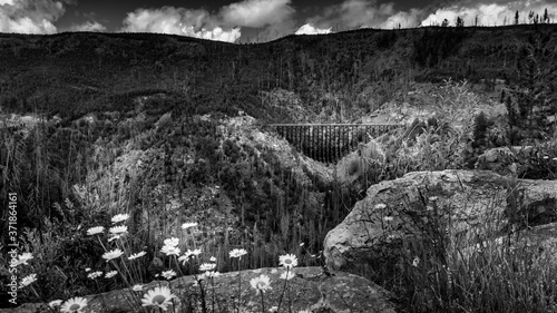 Black and White Photo of a Wooden Trestle Bridge of the abandoned Kettle Valley Railway viewed from across Myra Canyon near Kelowna, British Columbia, Canada
