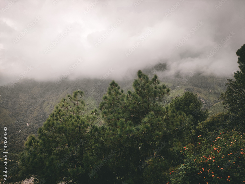 Mountain covered with fog Mountain covered with fog