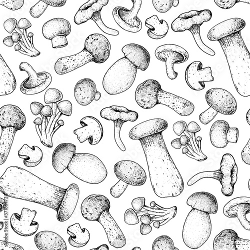 Mushrooms seamless pattern. Hand drawn sketch. Various mushrooms hand drawn vector illustration. Food background. Forest mushrooms. Black and white.