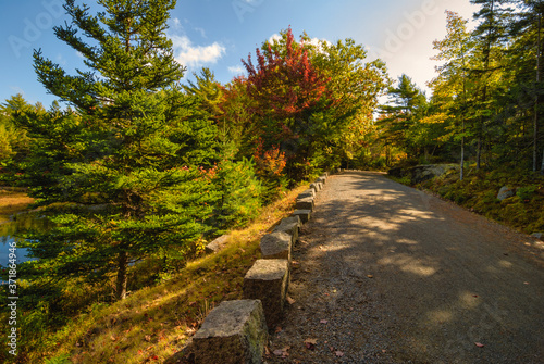 Autumn Views from a Carriage Path  Acadia National Park  Maine