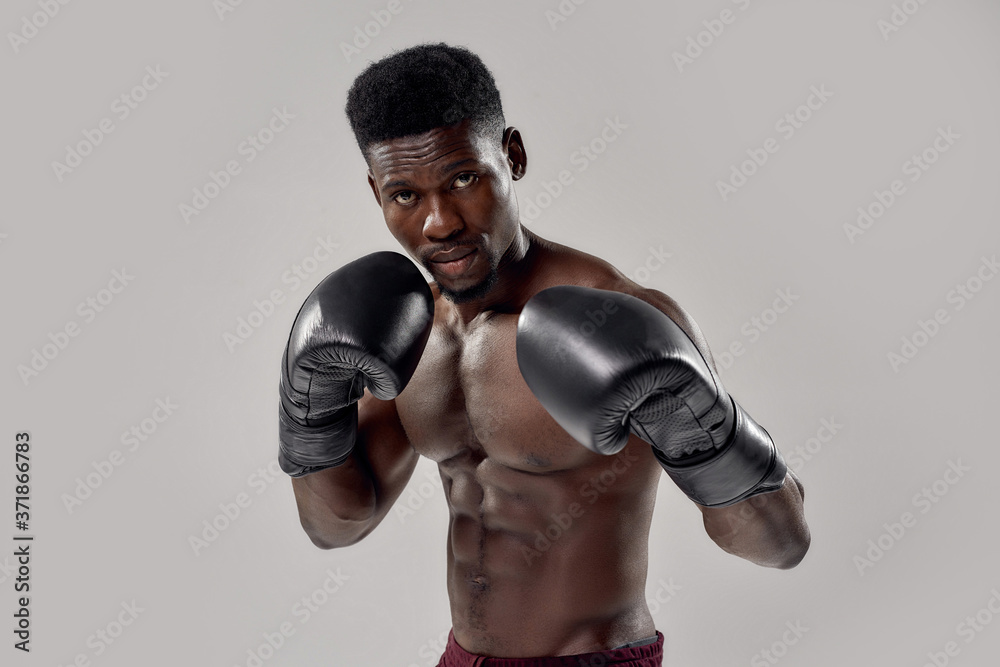 Young muscular african american male boxer looking at camera, wearing boxing gloves, standing isolated over grey background. Sports, workout, bodybuilding concept