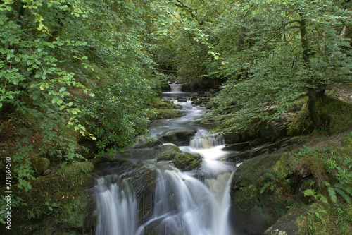 Fototapeta Naklejka Na Ścianę i Meble -  small waterfall in the forest