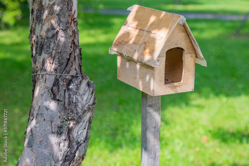 Wooden birdhouse-feeder in the summer city park Wooden birdhouse-feeder in the summer city park