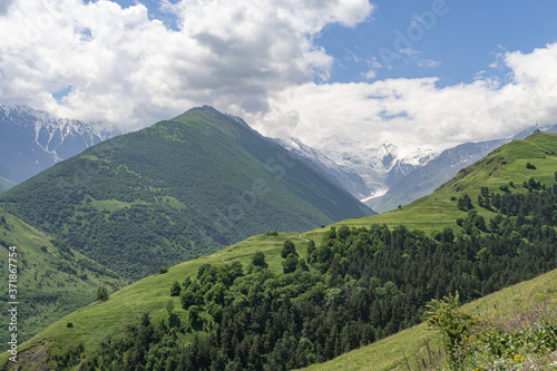 Panoramic view of idyllic mountain scenery with fresh green meadows