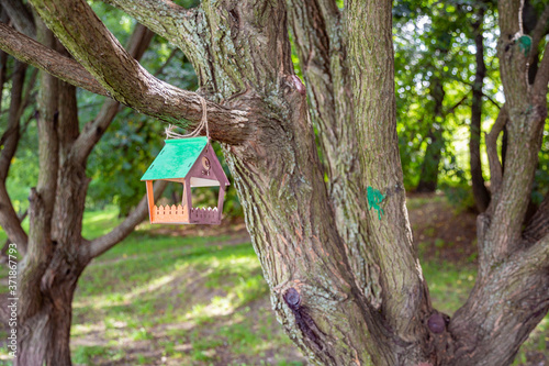 Wooden birdhouse-feeder in the summer city park