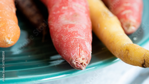 Close up photo of carrots on a green plate in various colors and sizes. Concept photo for local and sustainable farm produce.
