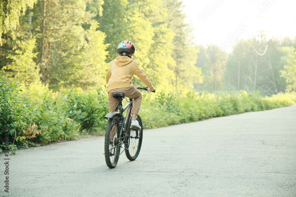 Obraz premium Rear view of contemporary schoolboy in protective helmet riding bicycle