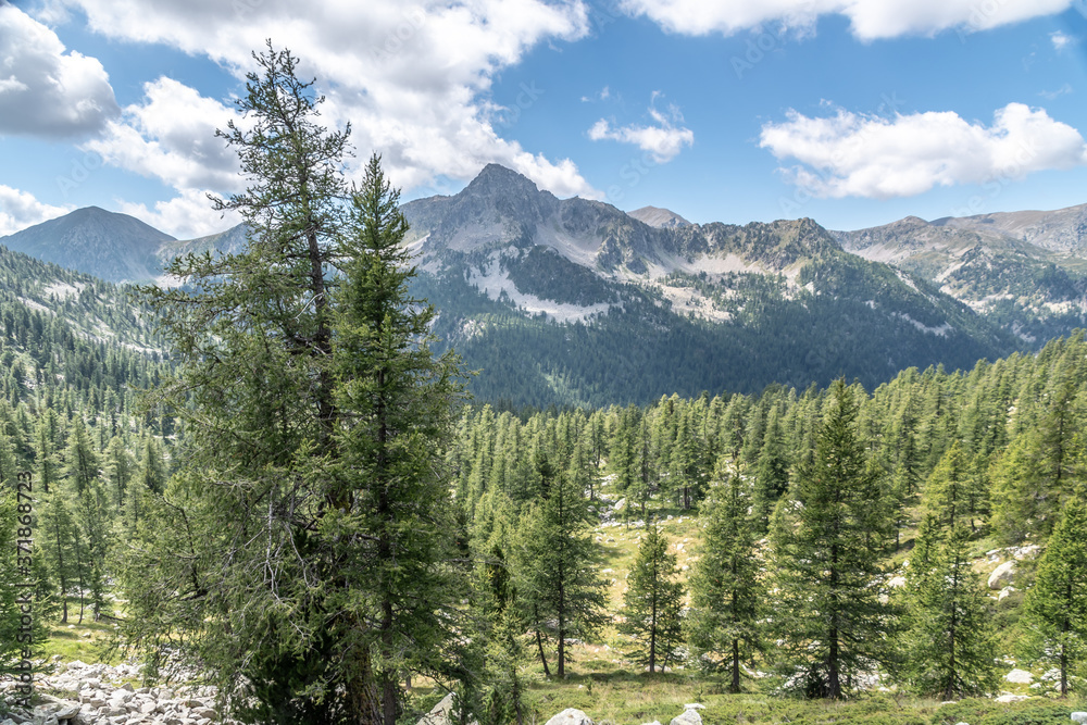 Obraz premium Paysage alpin dans le parc du Mercantour