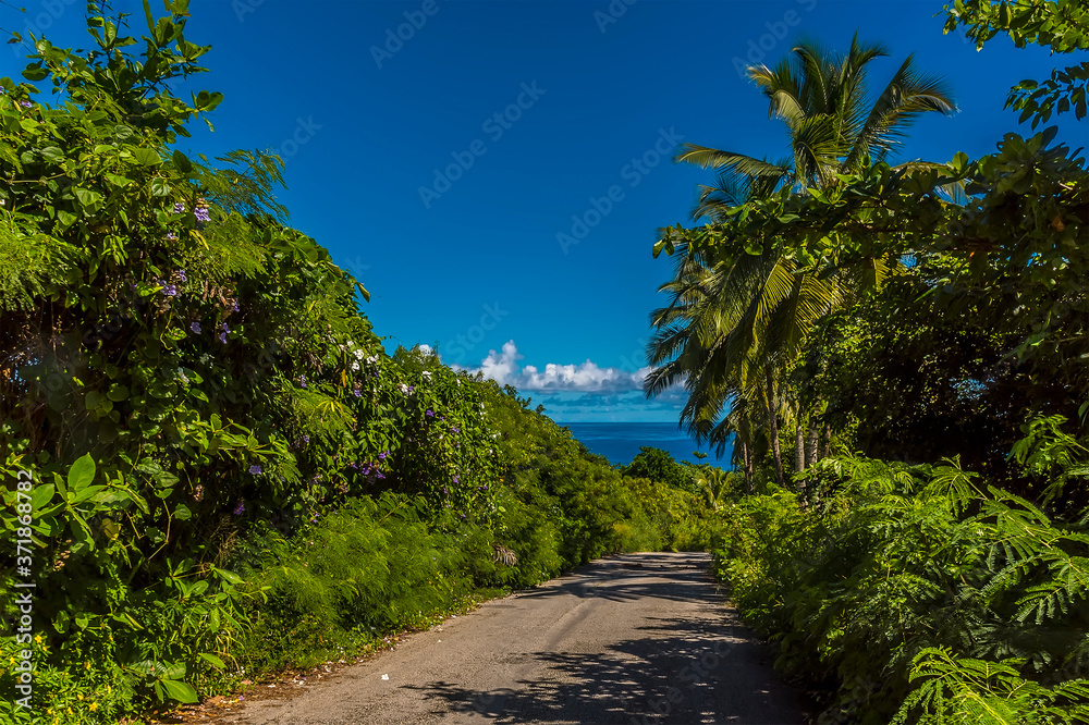A view of the main road along the Atlantic coast of Barbados