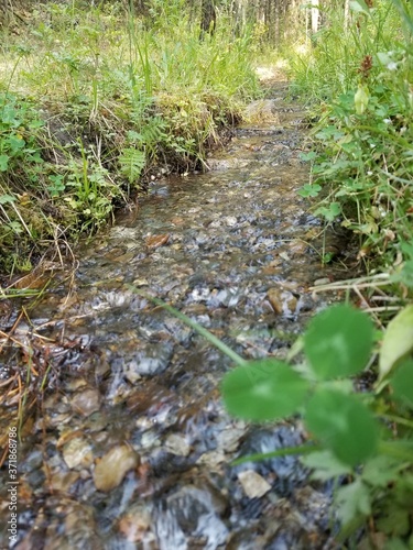 Babbling Brook