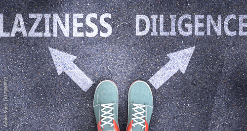 Laziness and diligence as different choices in life - pictured as words Laziness, diligence on a road to symbolize making decision and picking either one as an option, 3d illustration