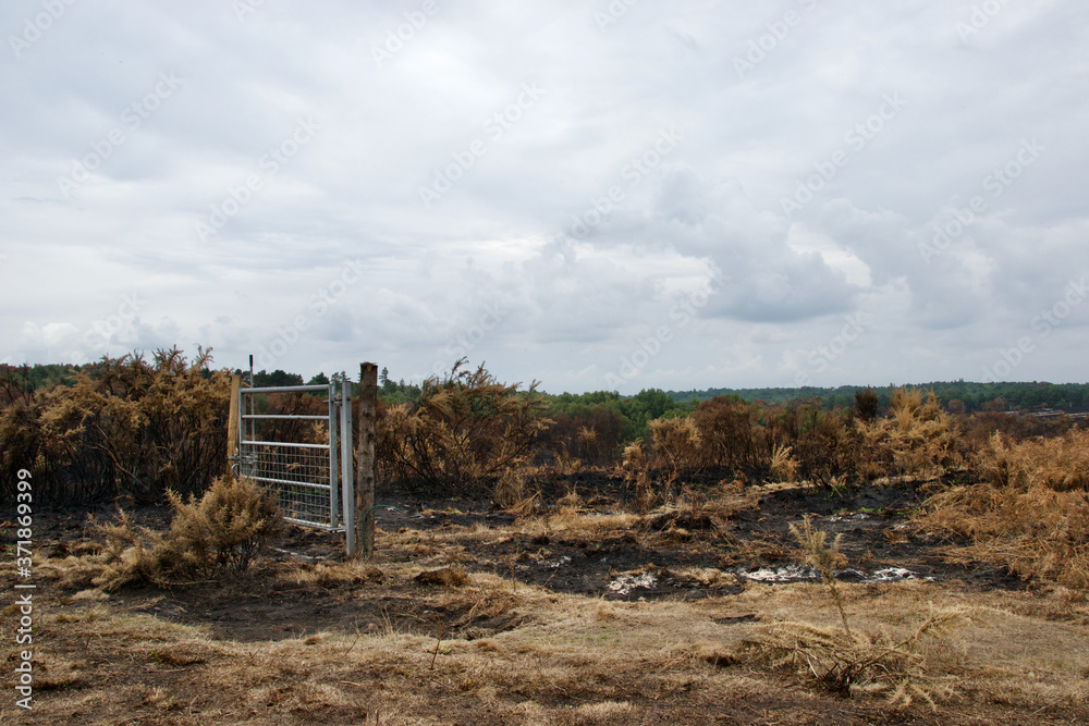 Gate standing on burnt heathland