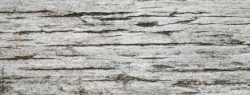 texture of old wood plank. background of wooden surface
texture of old wood plank. background of wooden surface