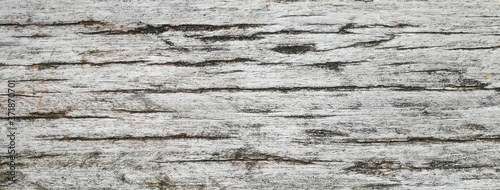 texture of old wood plank. background of wooden surface 